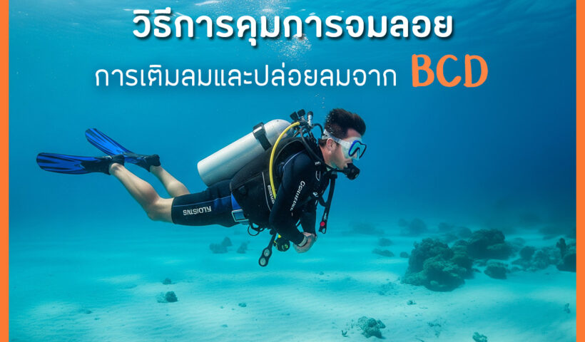 Gemini - Buoyancy Control - 001