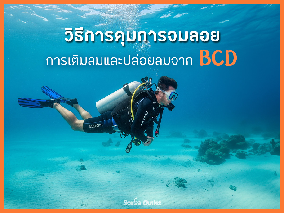 Gemini - Buoyancy Control - 001