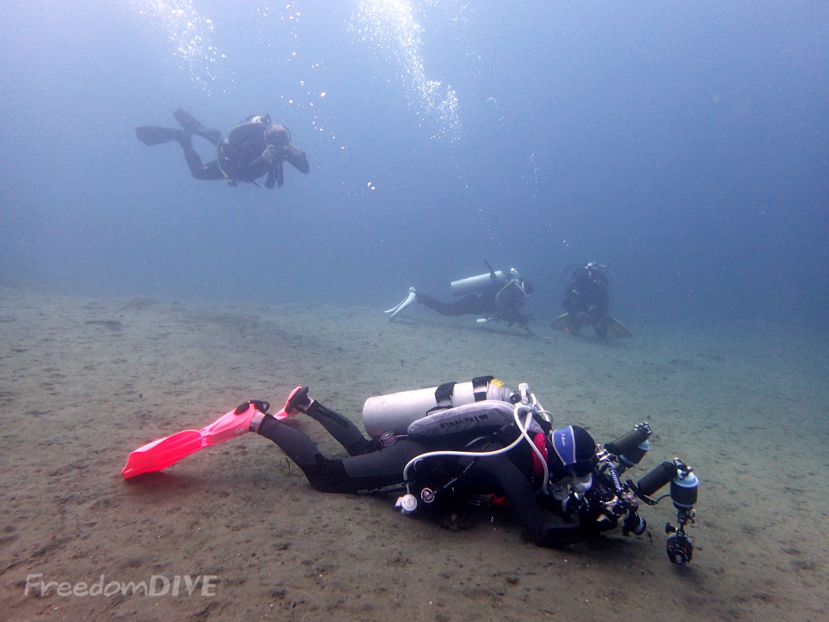 Muck Diving in Dumaguete