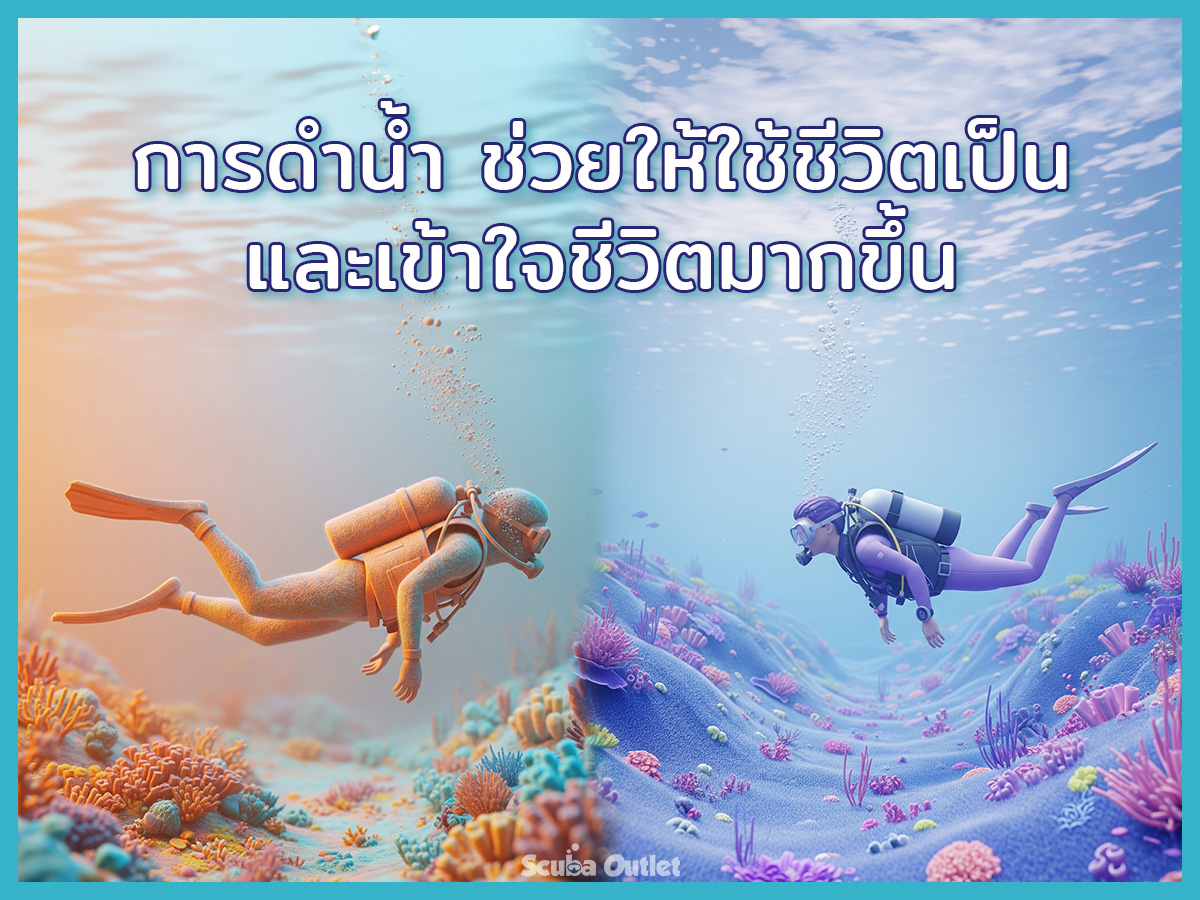 Gemini - Diving and life - 001