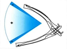 Positive and Negative Thrust Area of Fins Movement