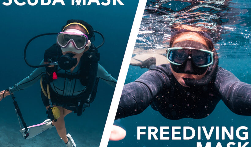 cover image บทความ Mask Scuba Freedive Comparison