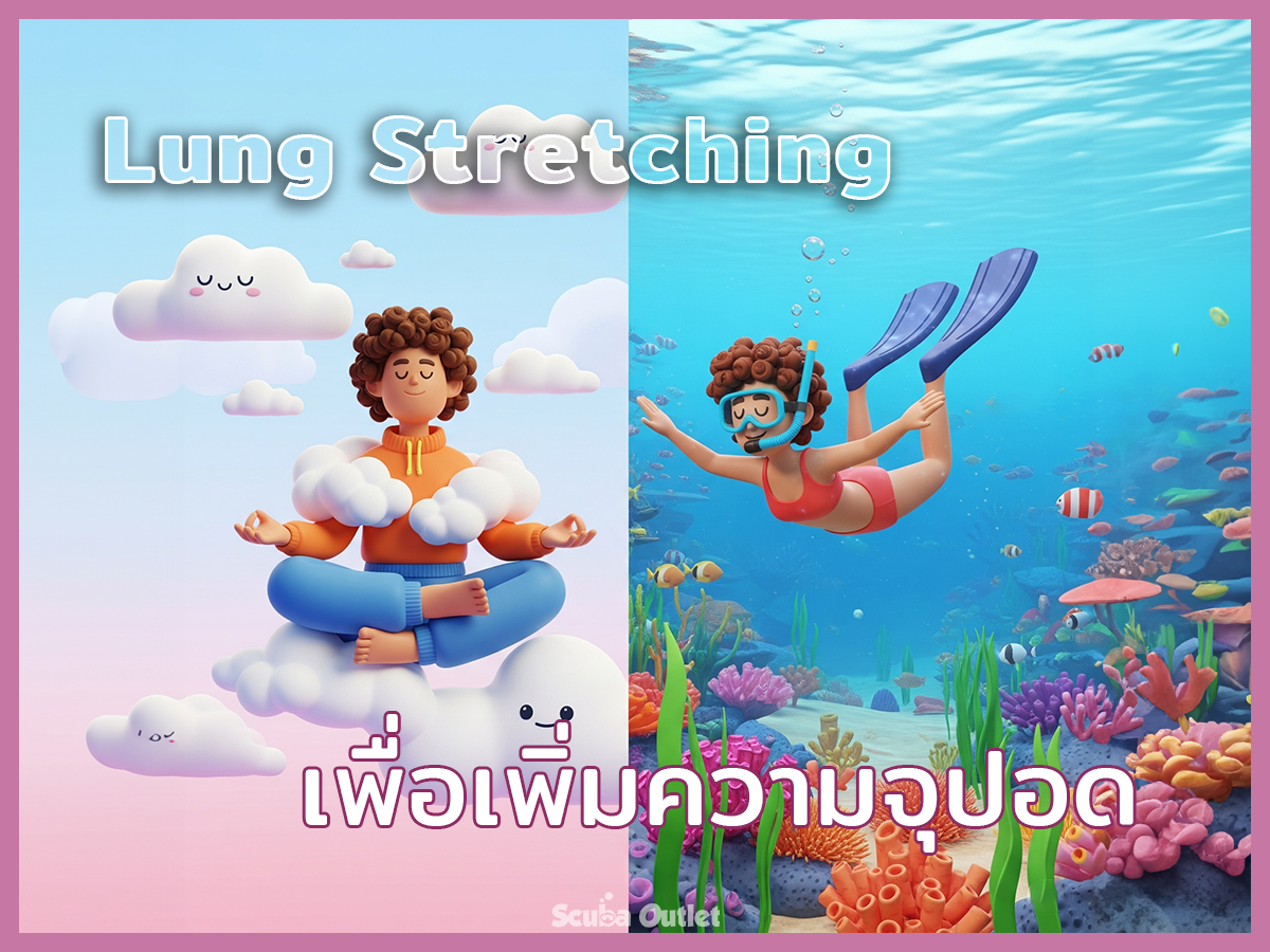 Gemini - Lung Stretching - 001