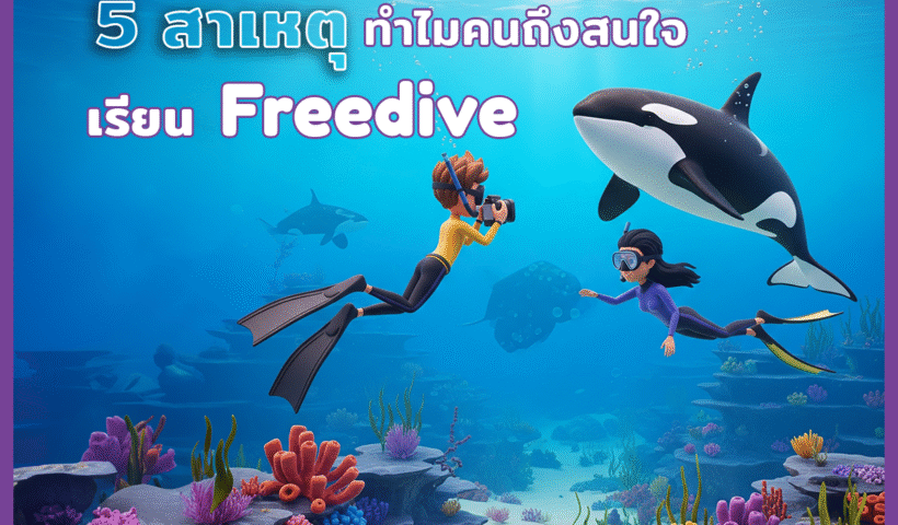 Gemini - Why Freedive - 001