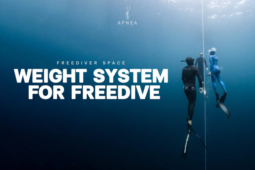 ระบบน้ำหนักเพื่อการดำฟรีไดฟ์ (Weight System for Freediving)