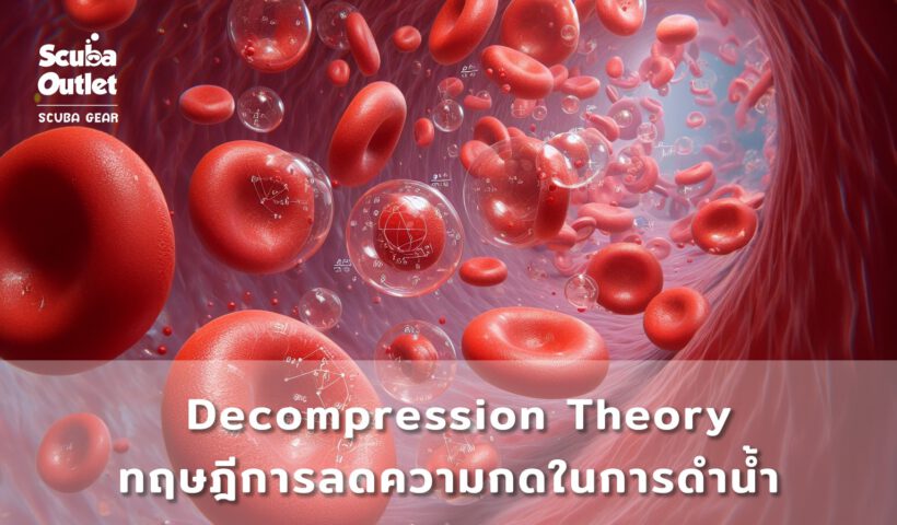 Blood Cells with Air Bubbles and Physics Equations (as banner for article)