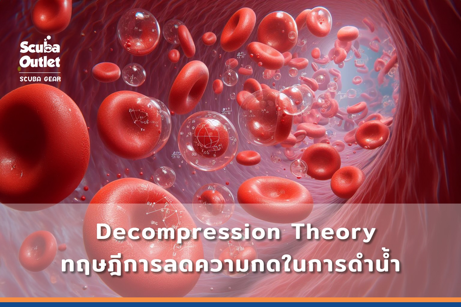Blood Cells with Air Bubbles and Physics Equations (as banner for article)