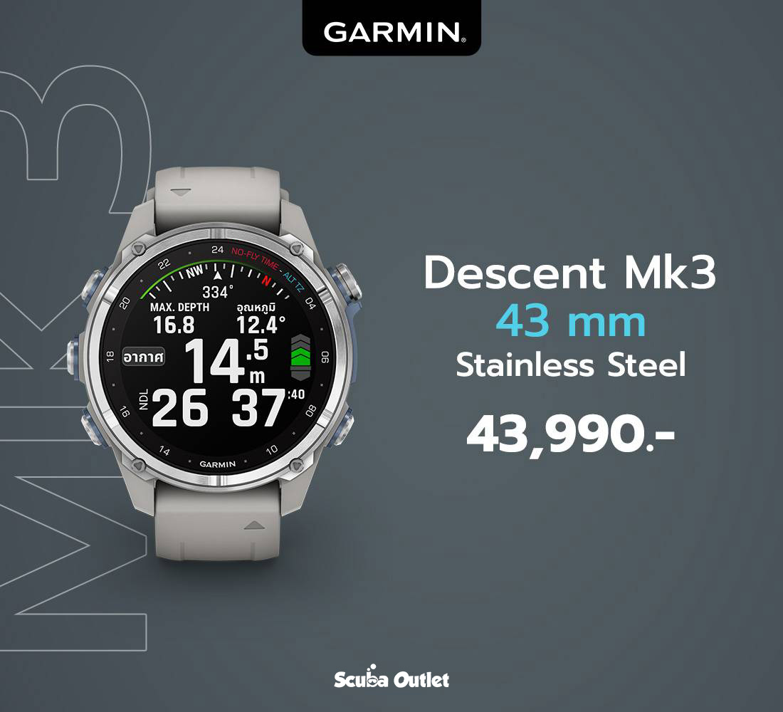 Garmin Descent Mk3i - 43mm Stainless
