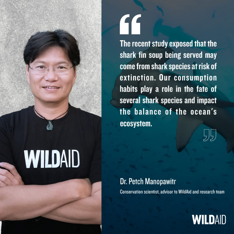 Shark fin - WildAid - en - 003