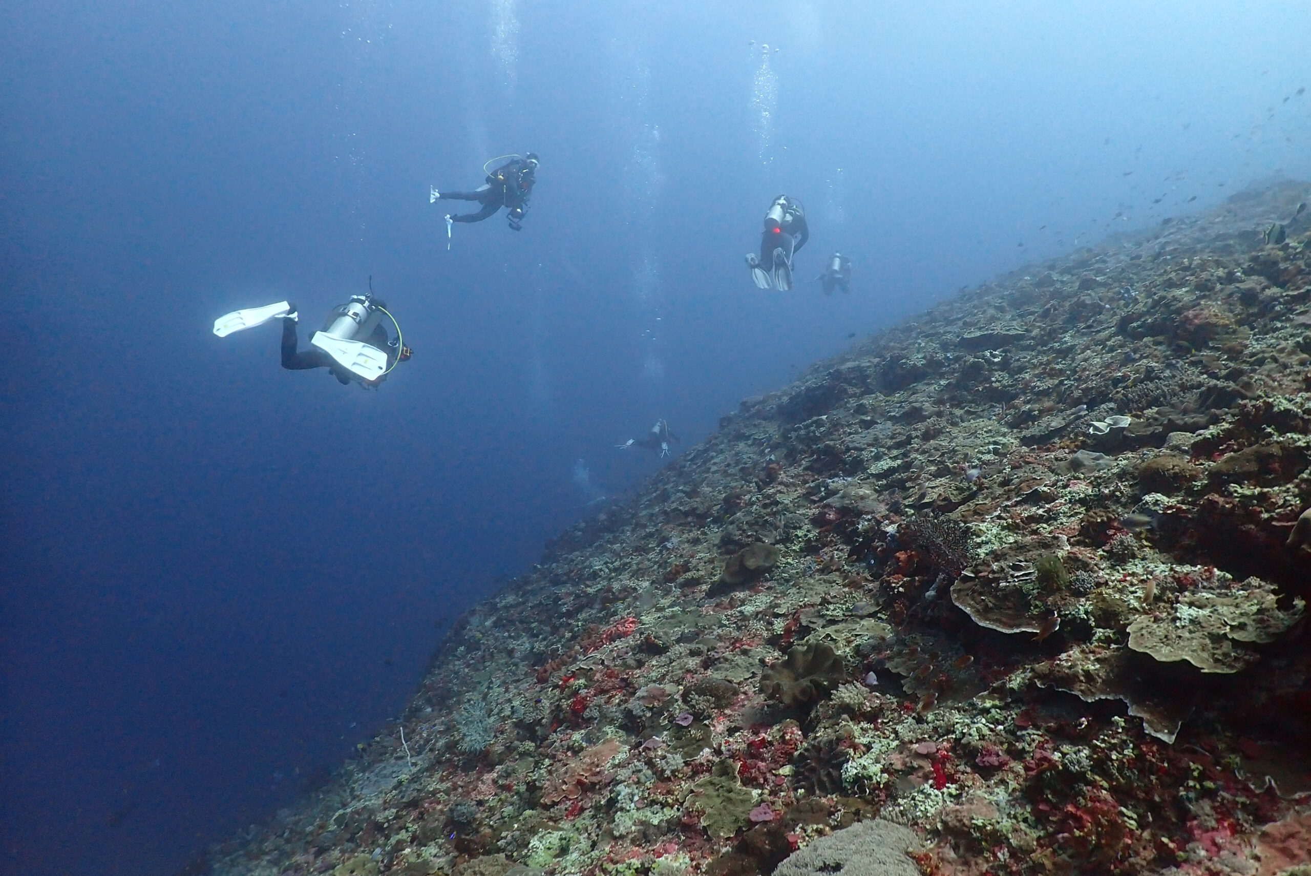 Diving with current - 001