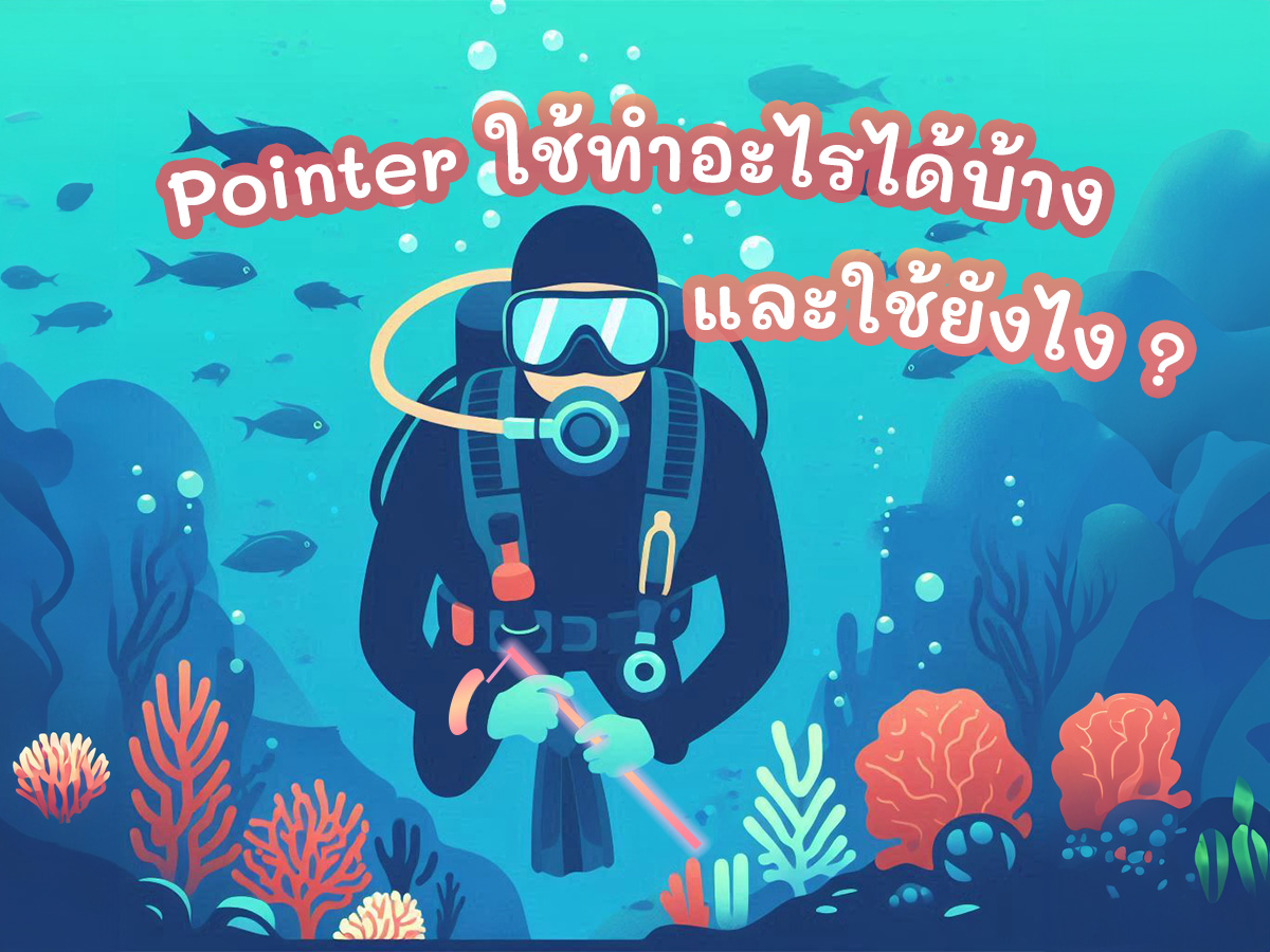 Diver and pointer