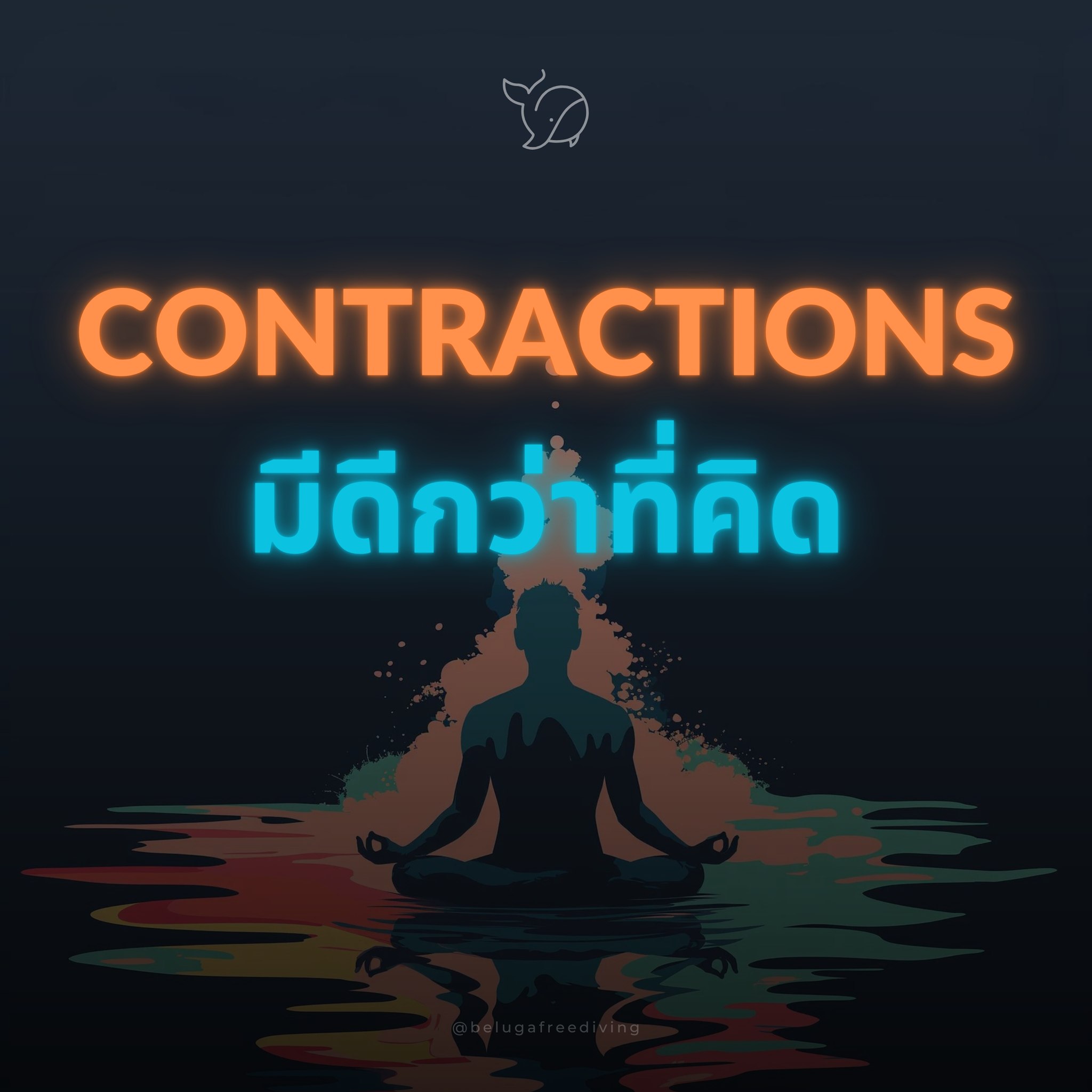 Beluga Freediving - contractions - 241028