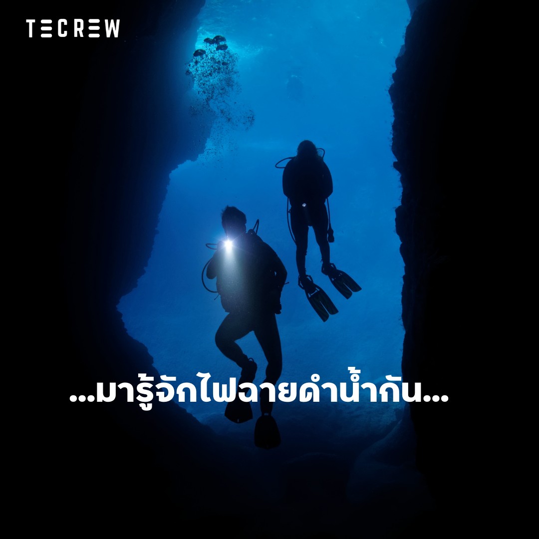 Dive Light - Tecrew - 670930