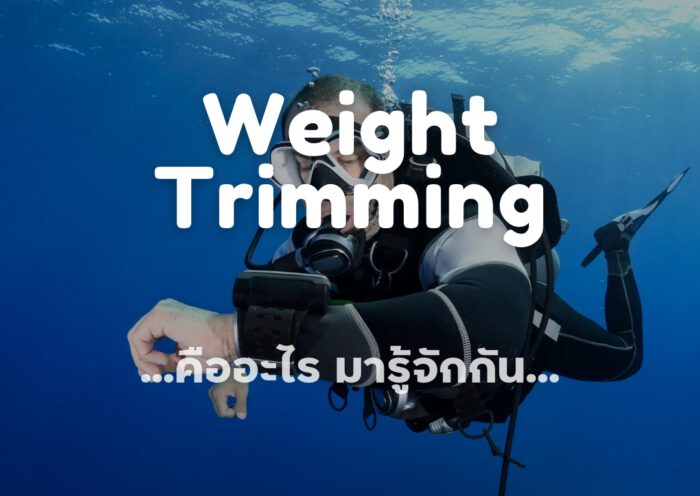 Weight Trimming - Tecrew - 670809