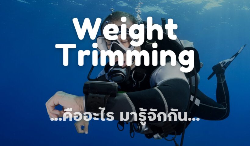 Weight Trimming - Tecrew - 670809