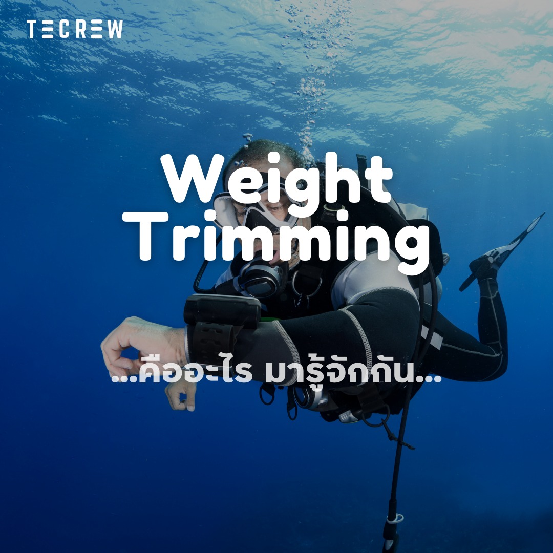 Weight Trimming - Tecrew - 670809