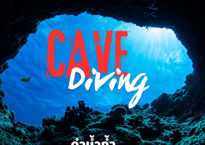 Cave Diving - Tecrew - 671227