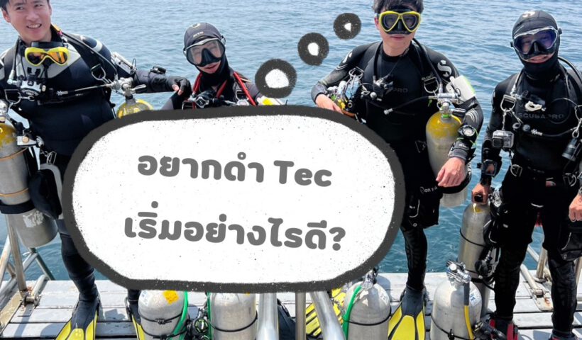 Tec Dive - Tecrew - 671115