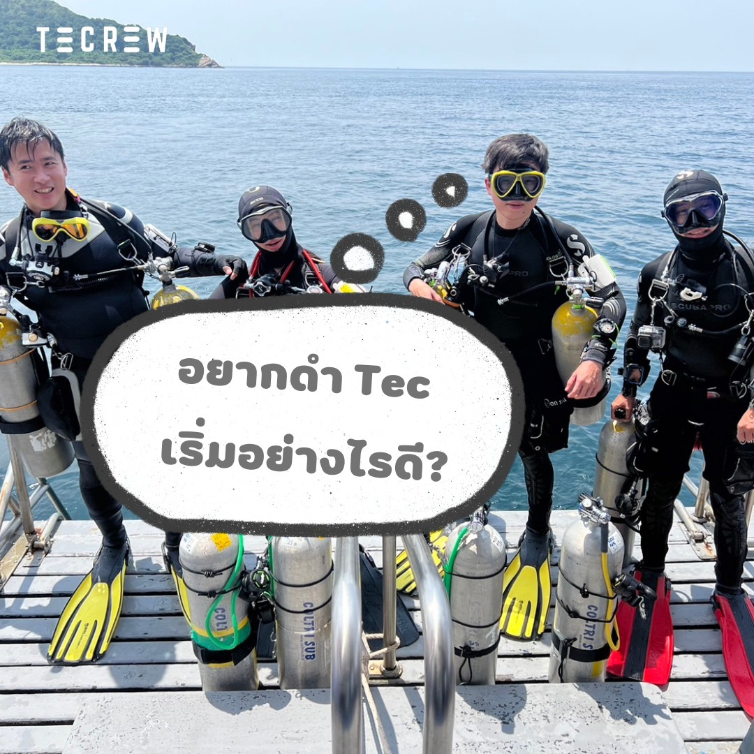 Tec Dive - Tecrew - 671115