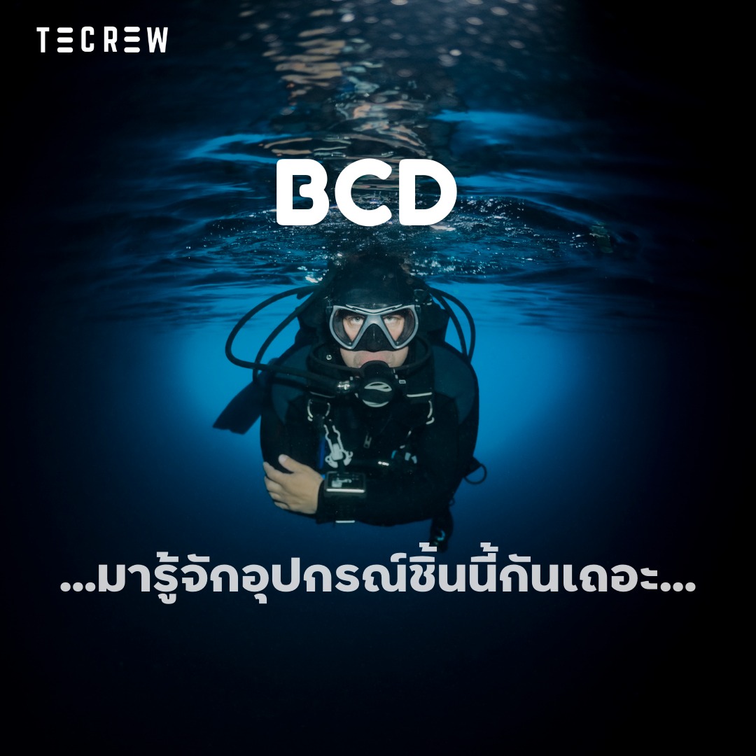 BCD - Tecrew - 670729