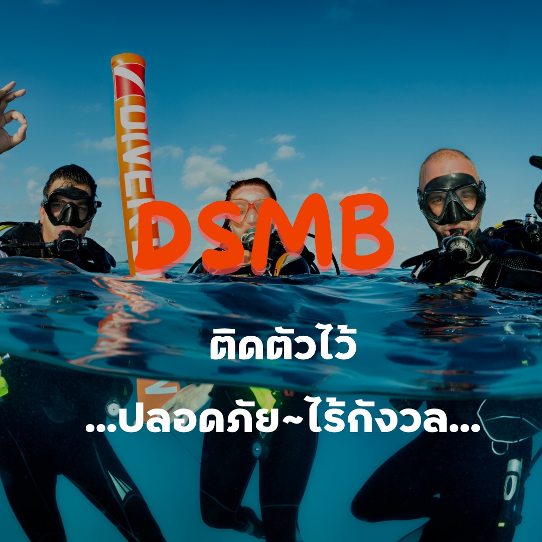 DSMB - Tecrew - 670715