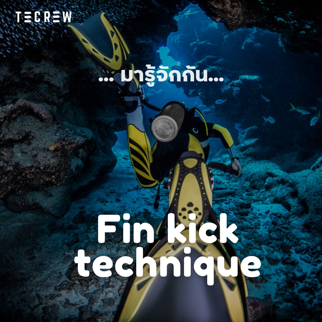 Fin kick technique - Tecrew - 670816