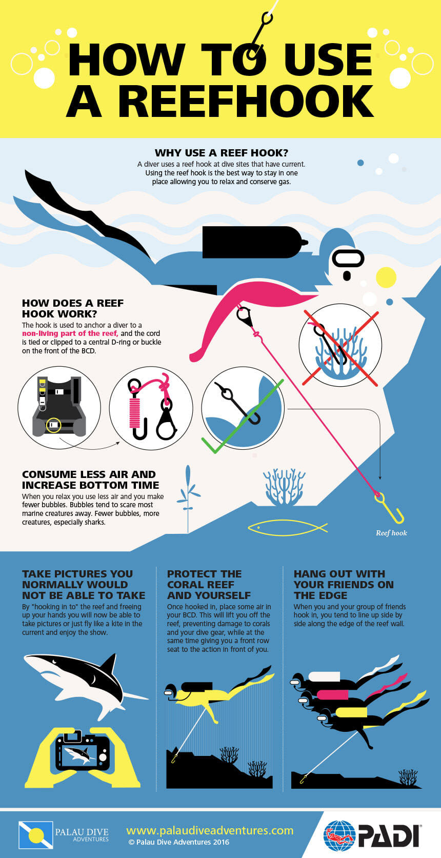 reef_hook_infographic