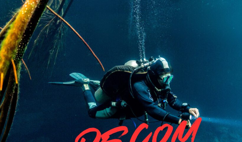 DECOM - Tecrew - 680502