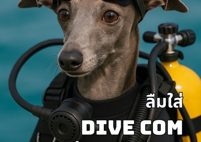 Forgot dive com - Tecrew - 680620