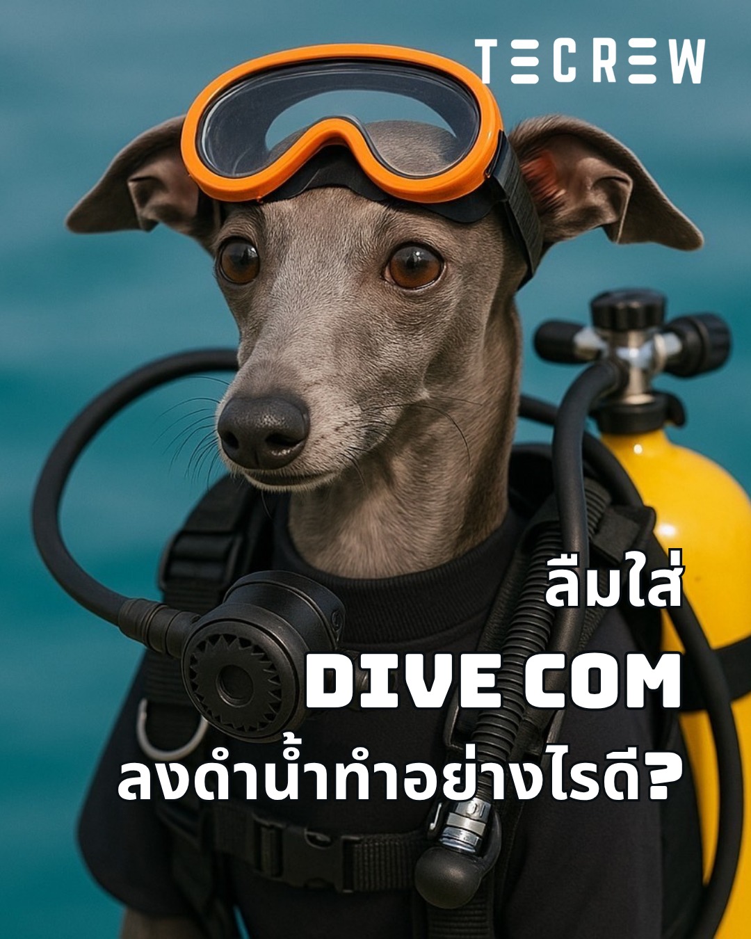 Forgot dive com - Tecrew - 680620