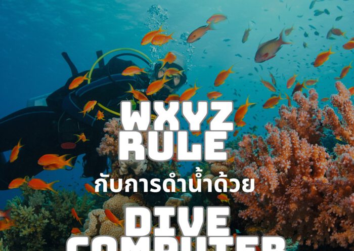 WXYZ Rule - Tecrew - 680530