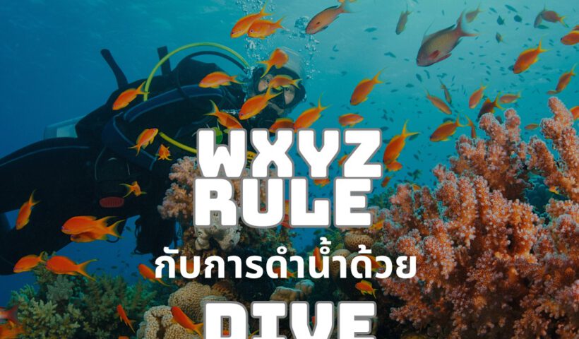 WXYZ Rule - Tecrew - 680530
