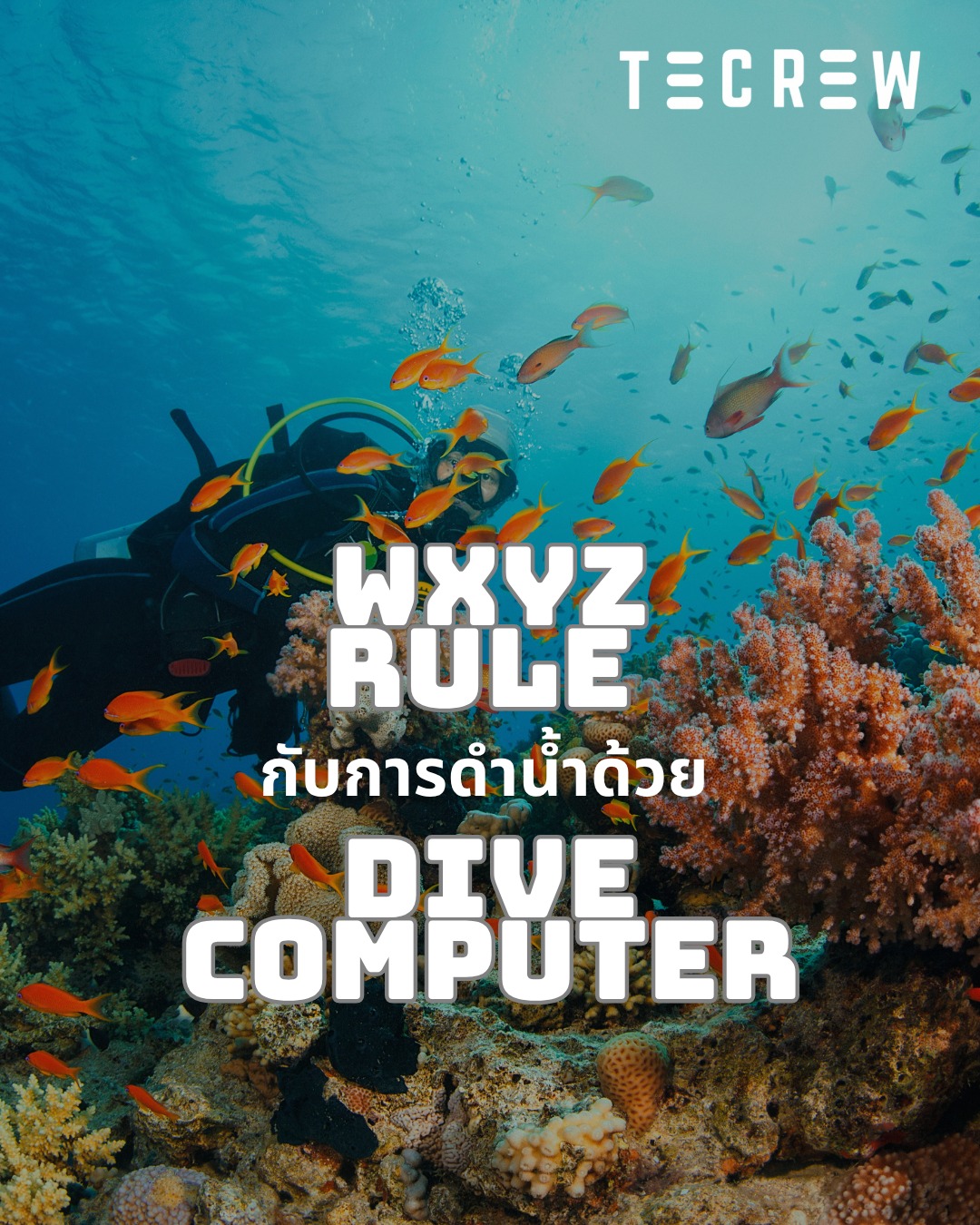 WXYZ Rule - Tecrew - 680530