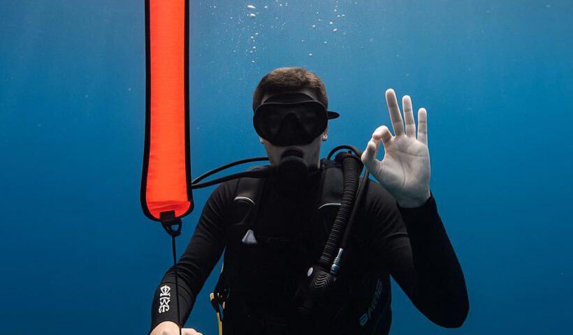 5 skills for new diver - The Shark Diving - 680715