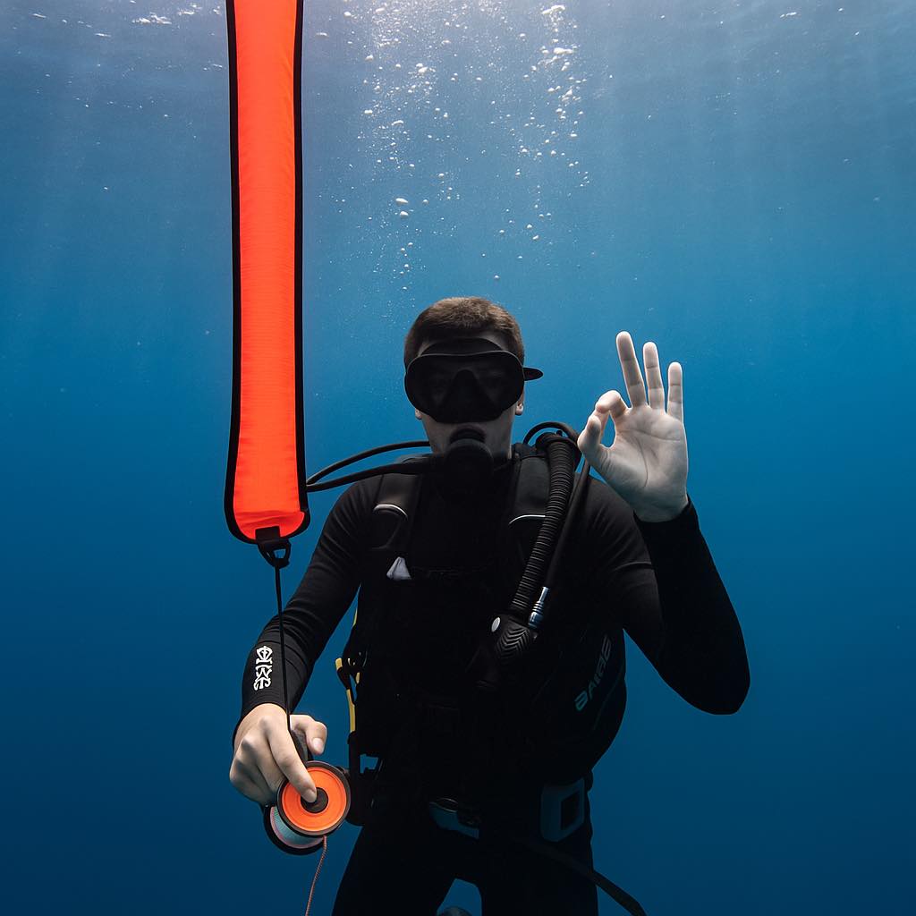 5 skills for new diver - The Shark Diving - 680715
