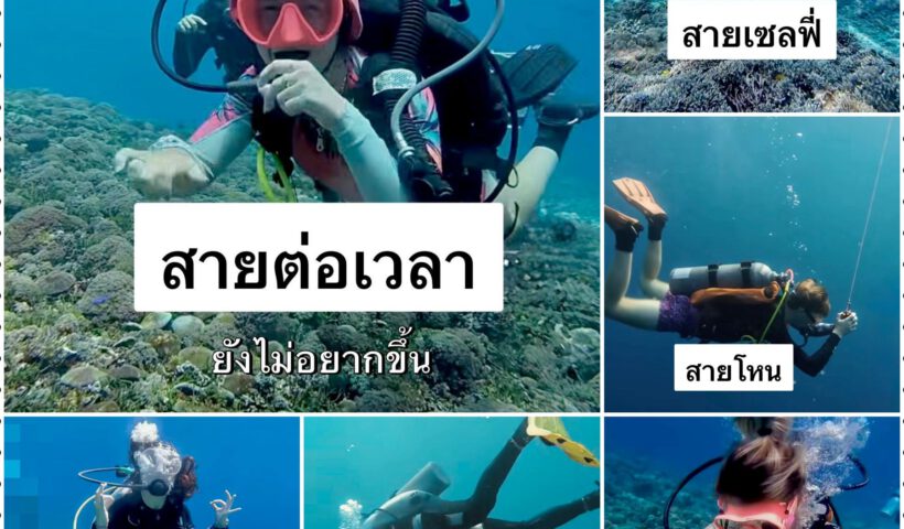 Safty stop - The Shark Diving - 680730