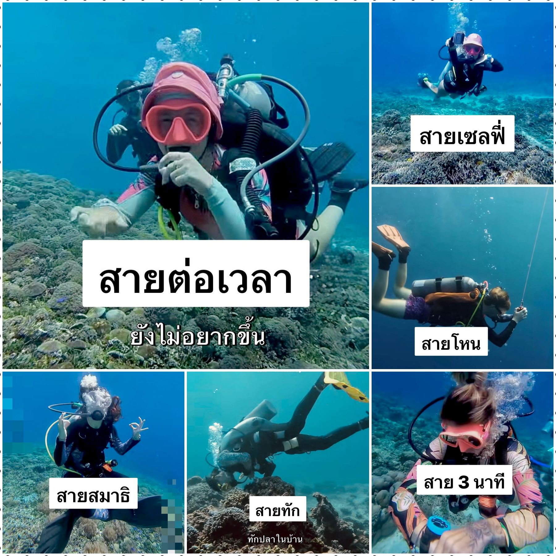 Safty stop - The Shark Diving - 680730