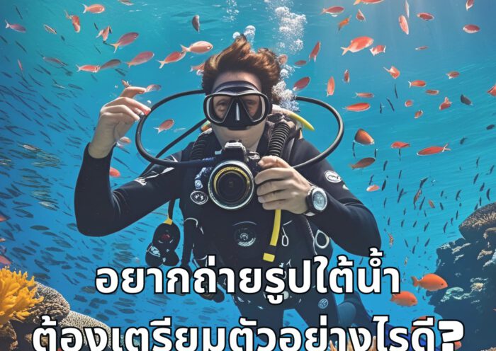 Underwater Photography - Tecrew - 680704