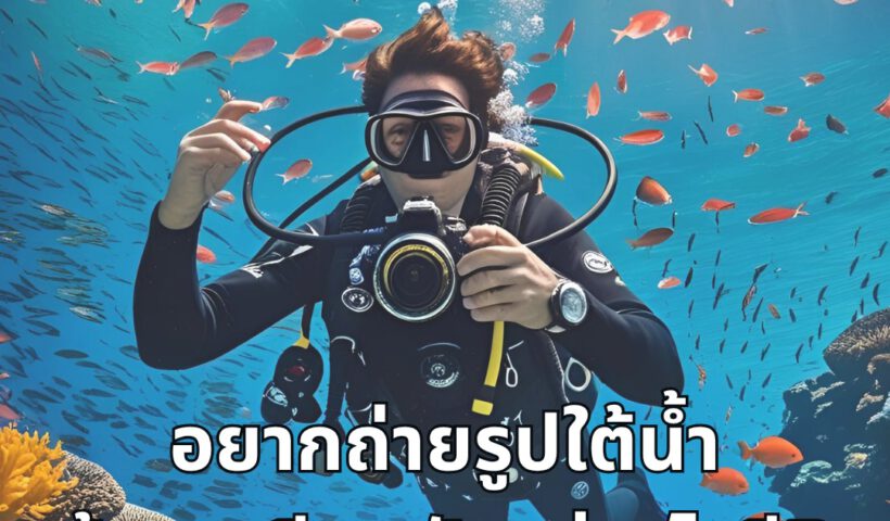 Underwater Photography - Tecrew - 680704
