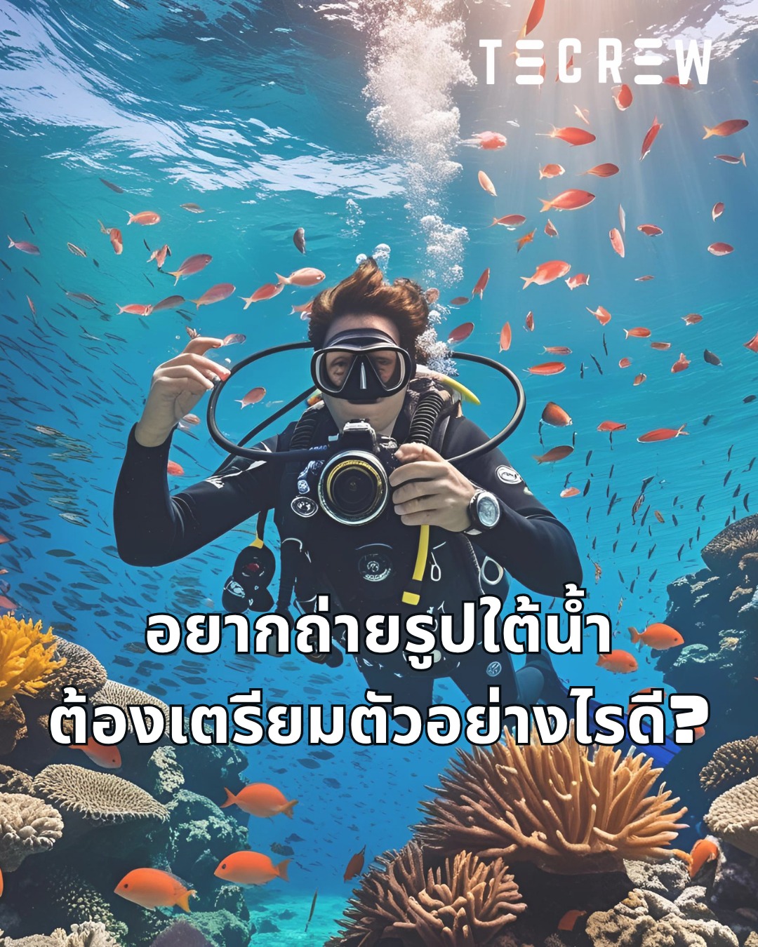 Underwater Photography - Tecrew - 680704