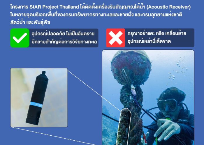 Acoutic Receiver - Spot the Leopard Shark - 001
