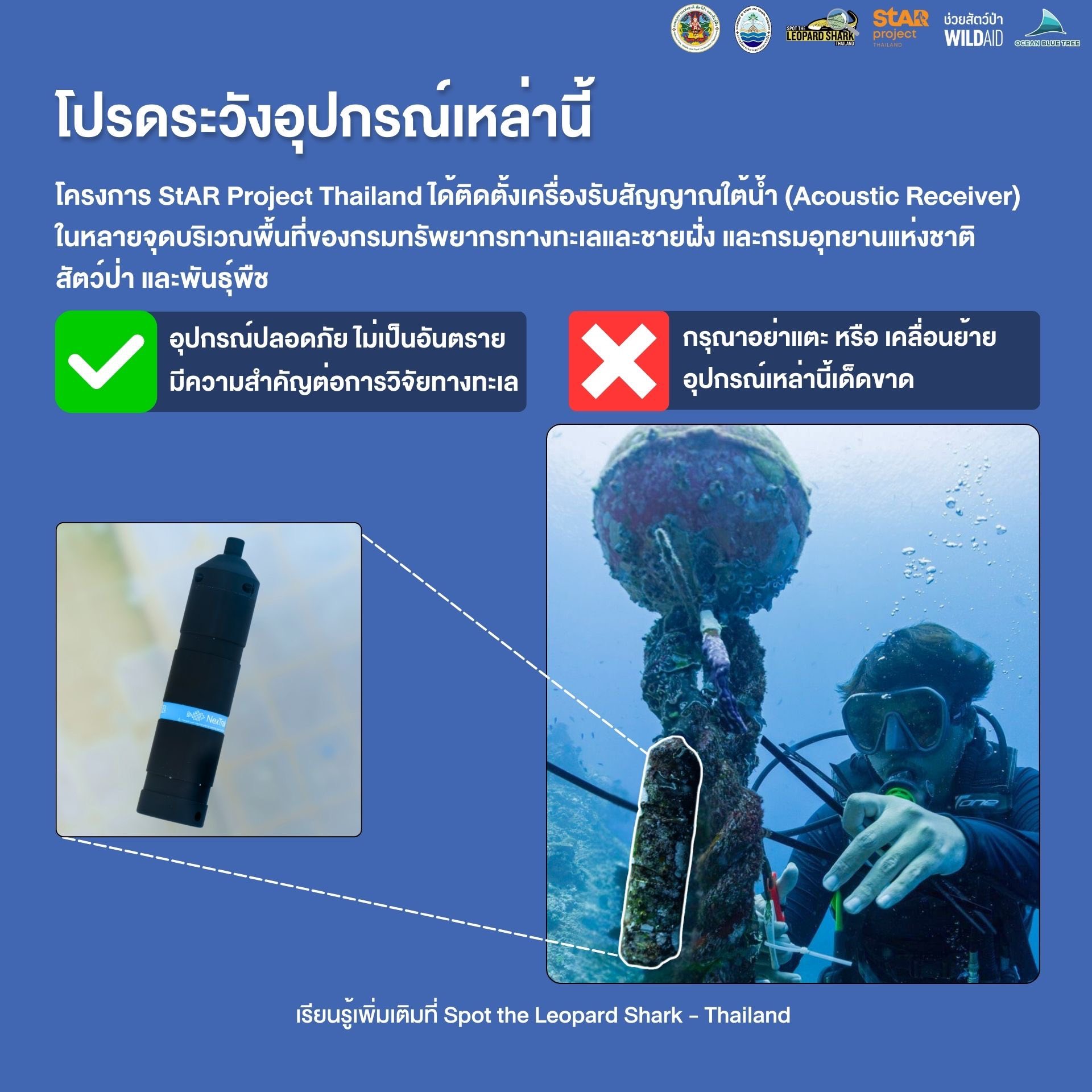 Acoutic Receiver - Spot the Leopard Shark - 001