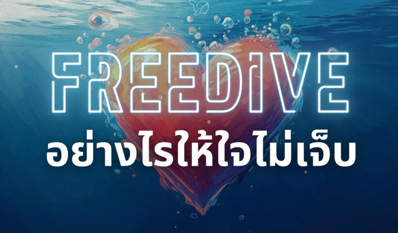 Beluga Freediving - freediving - 240828