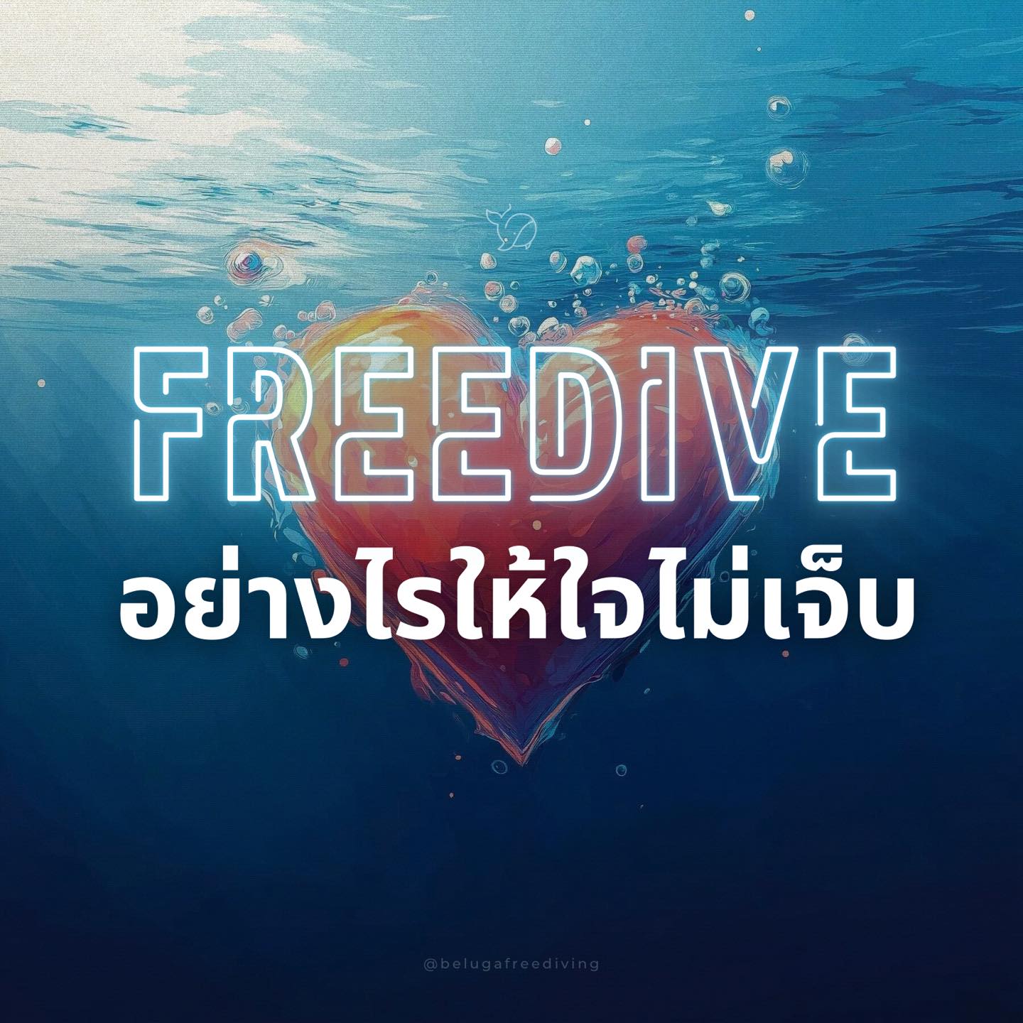 Beluga Freediving - freediving - 240828
