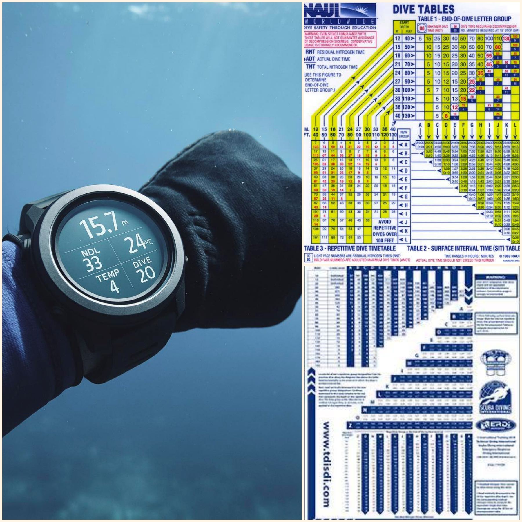 Dive com - The Shark Diving - 680807