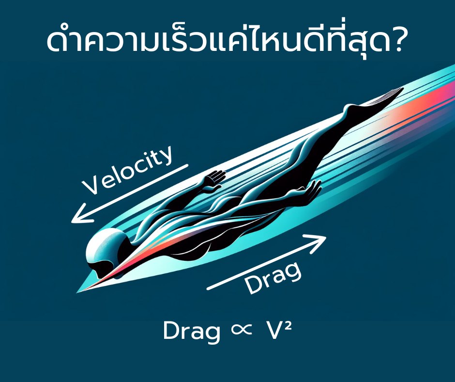 Dynamic Freedive - Beluga Freediving - 001