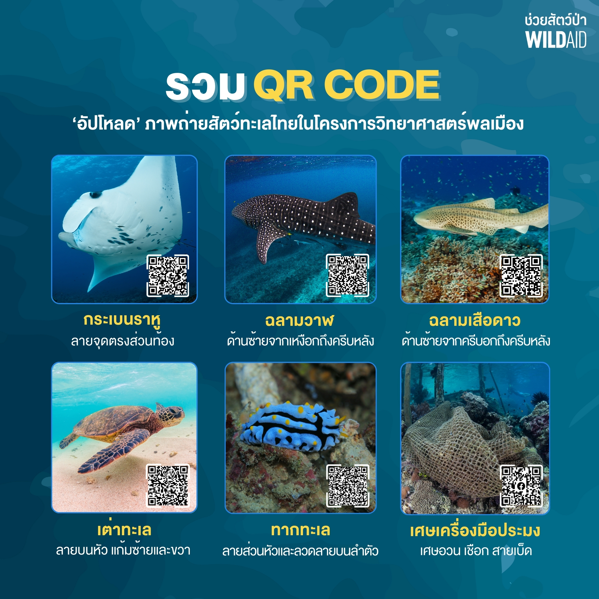 QR code Citizen Science - WildAid - 670628