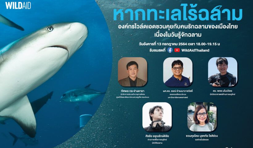 Shark Awareness Day - WildAid - 210715