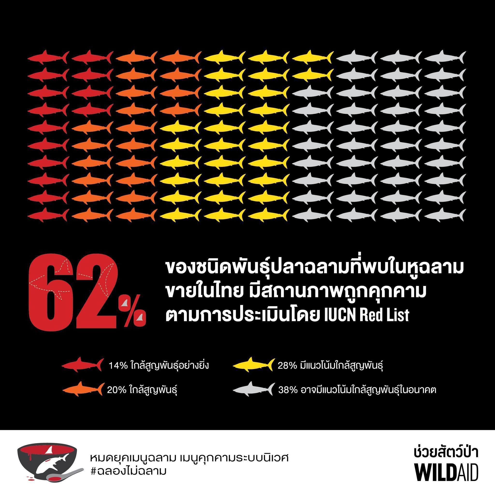 Shark fin - WildAid - 001