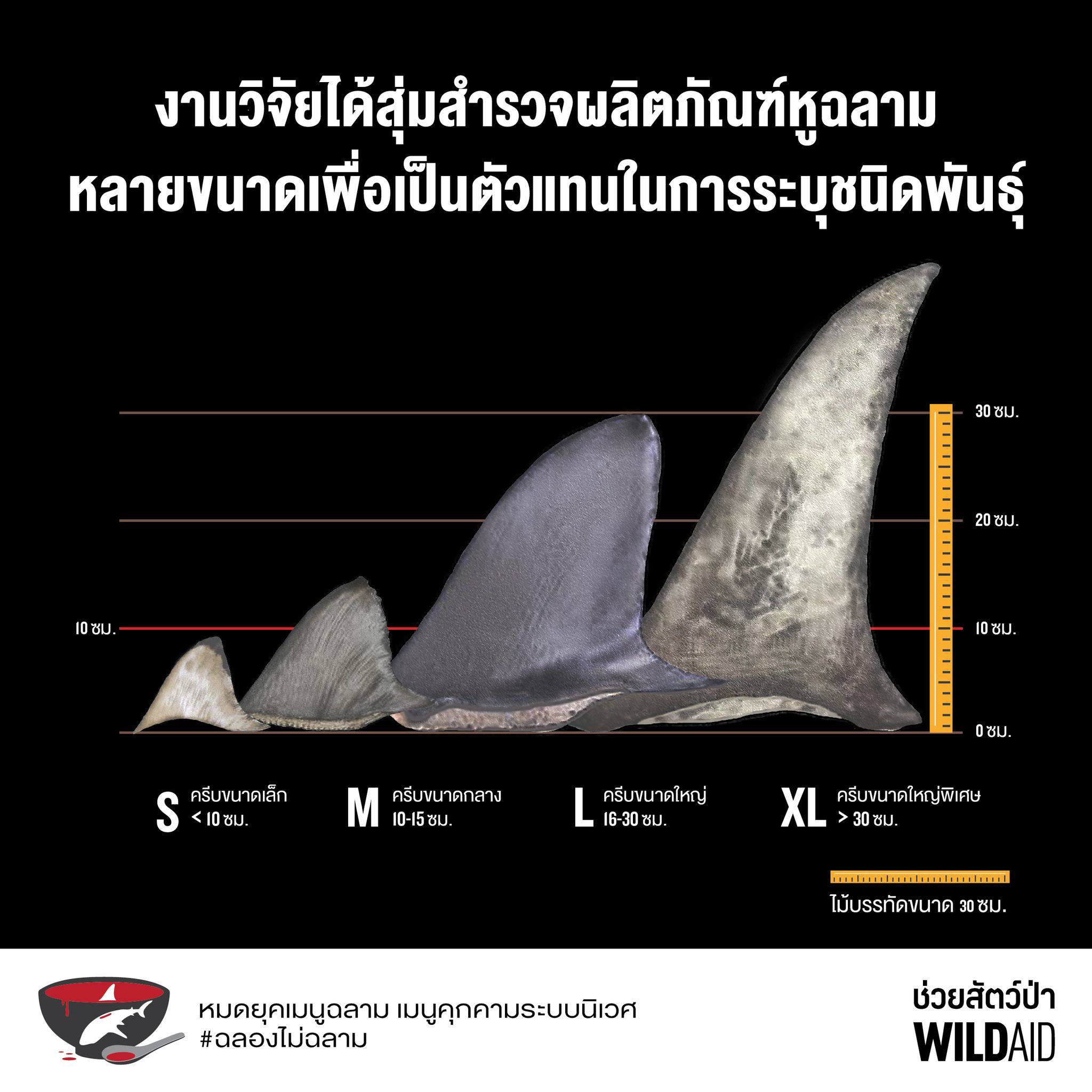 Shark fin - WildAid - 002